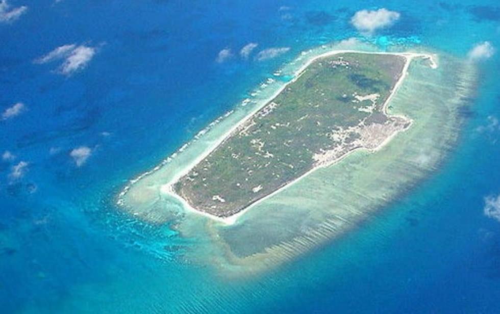 西沙东岛野牛群是从哪里来的,西沙东岛有多少野牛