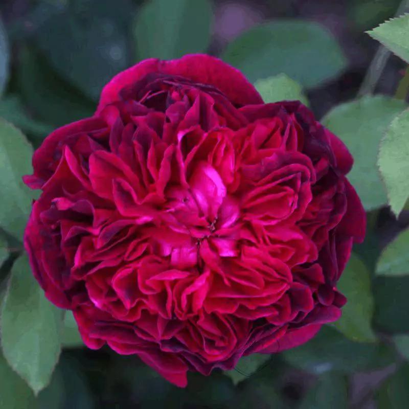 每天学习一点点女性小常识,每天学习一点点科普一下