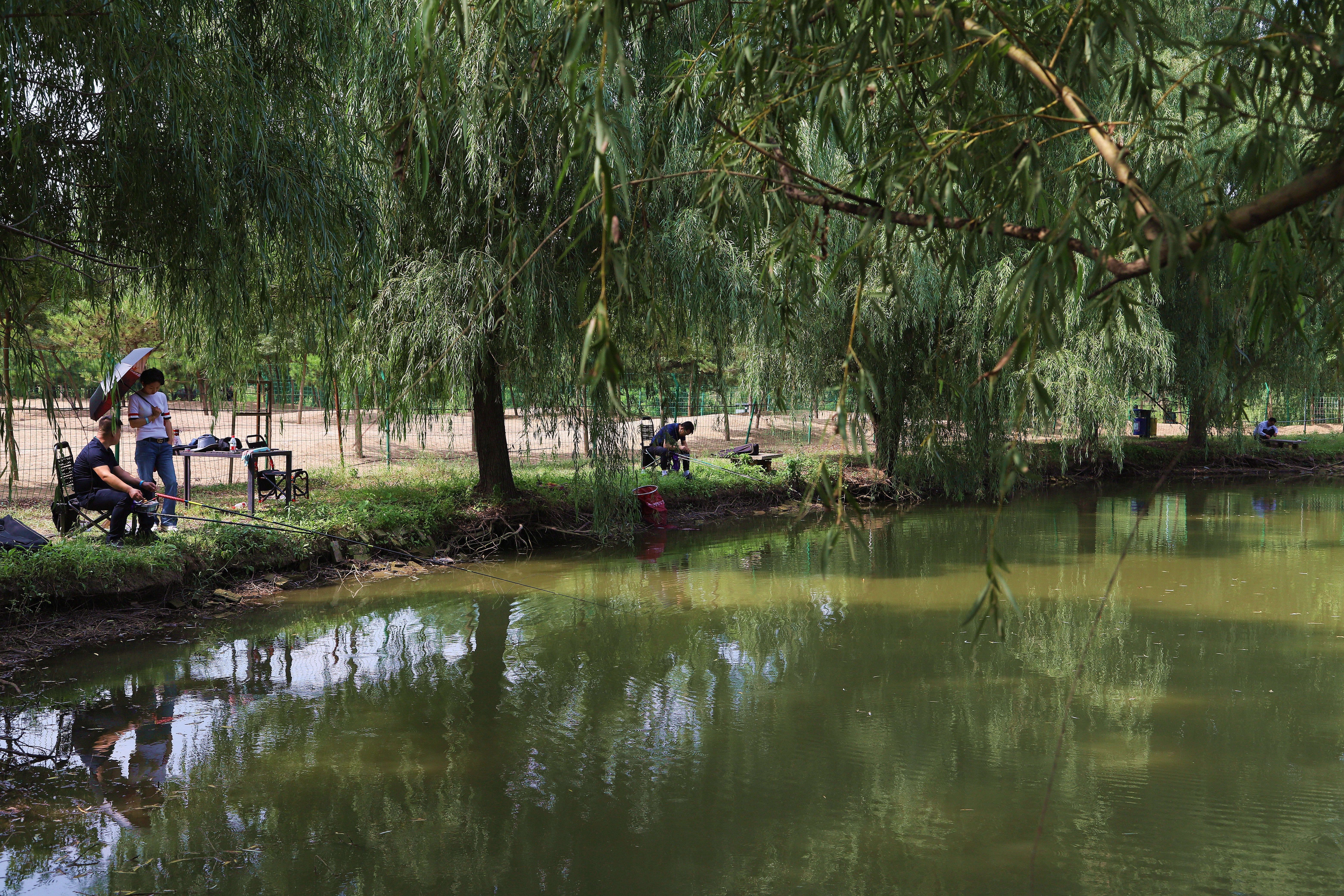 在心灵的栖息地遇见第五季