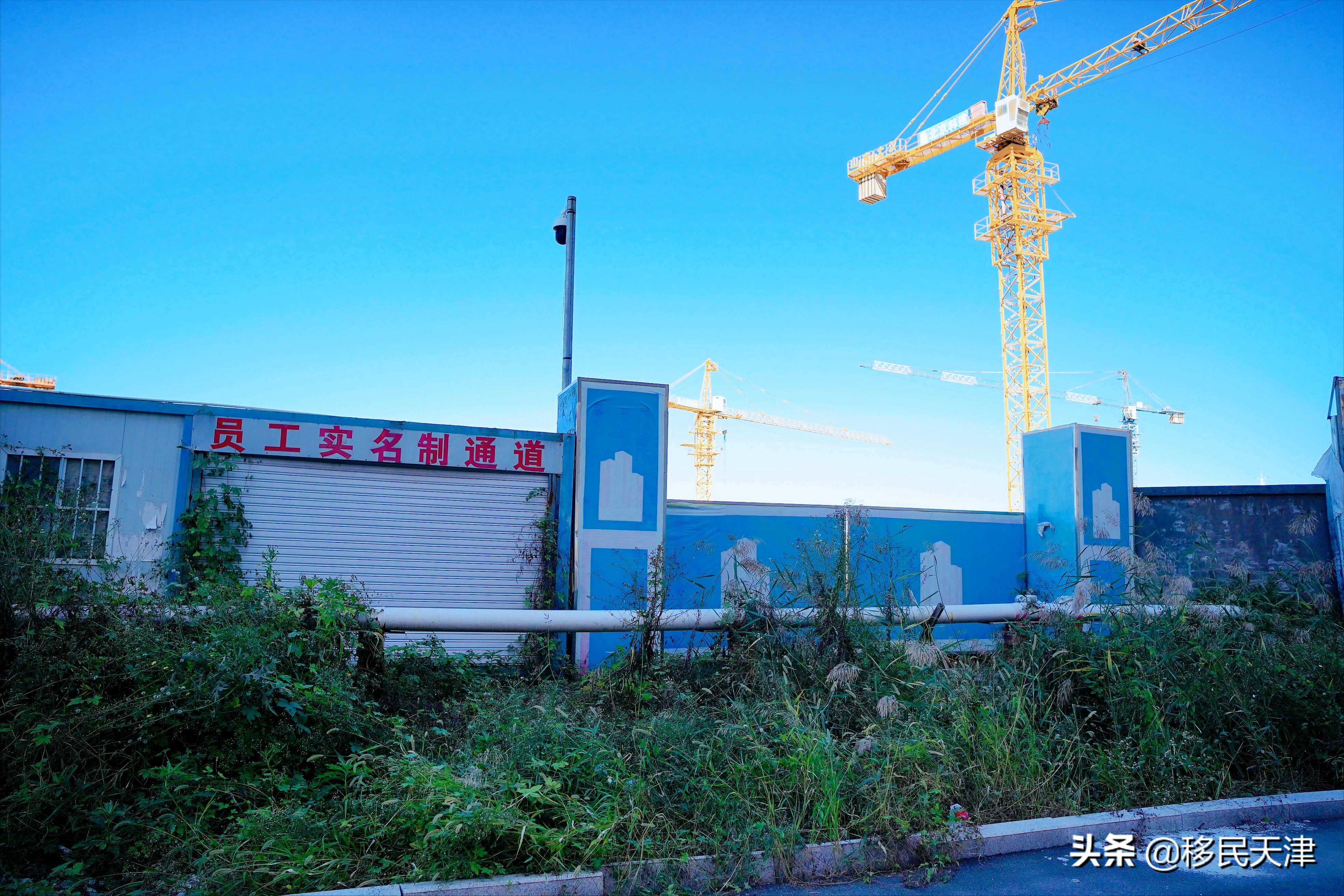 为什么天津不建议买武清的房子,天津武清南湖房产有前途吗