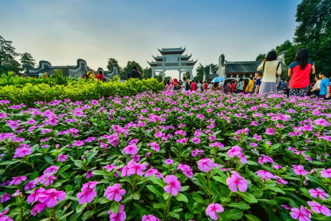 广州吃海鲜最便宜的地方2018年,广州的海鲜哪里又新鲜又便宜