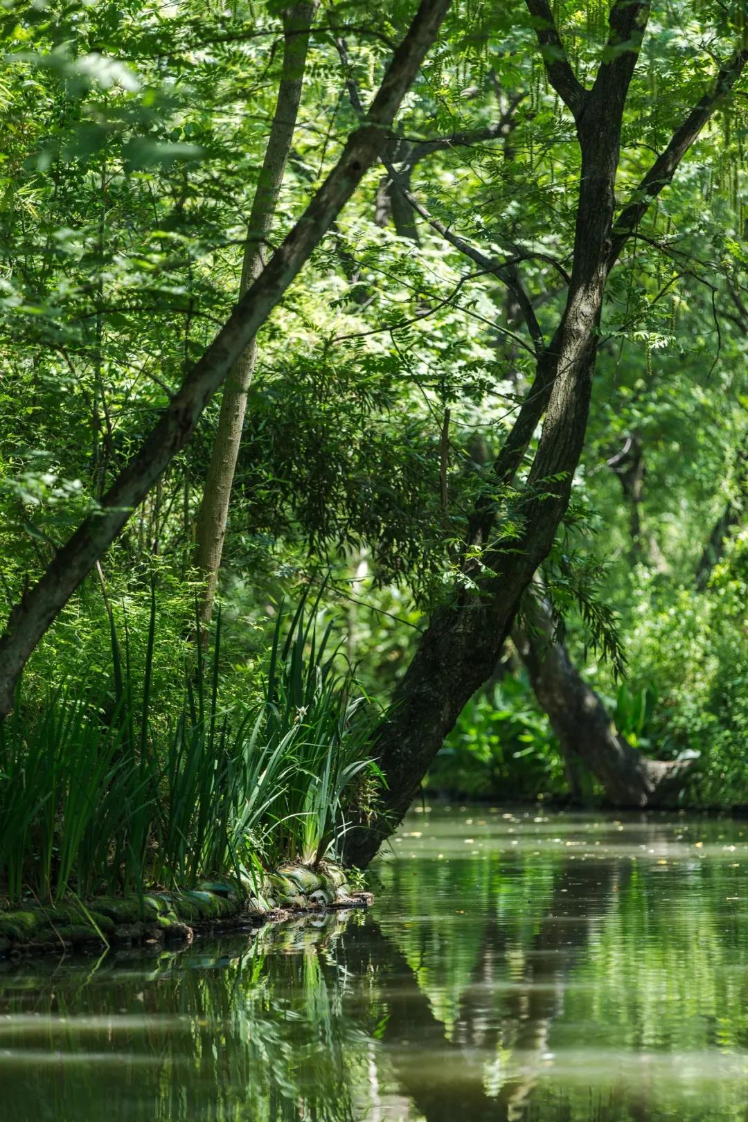 安吉的竹海村落,安吉竹海附近的村子