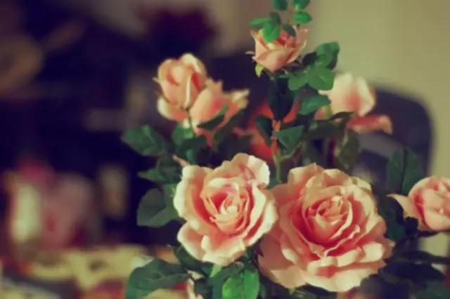 渡人亦渡己图片大全,渡人亦渡己原版视频