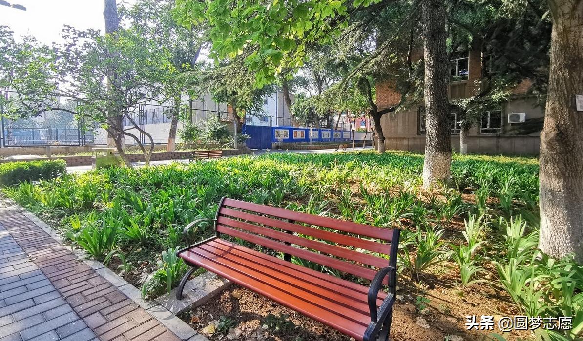 全国一流的专科院校有哪些,全国双一流建设高校名单专科