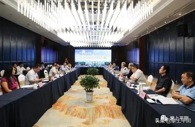 如何打造平阴“杏坛遗响儒乡孔村”文旅品牌，专家学者这样建言献策