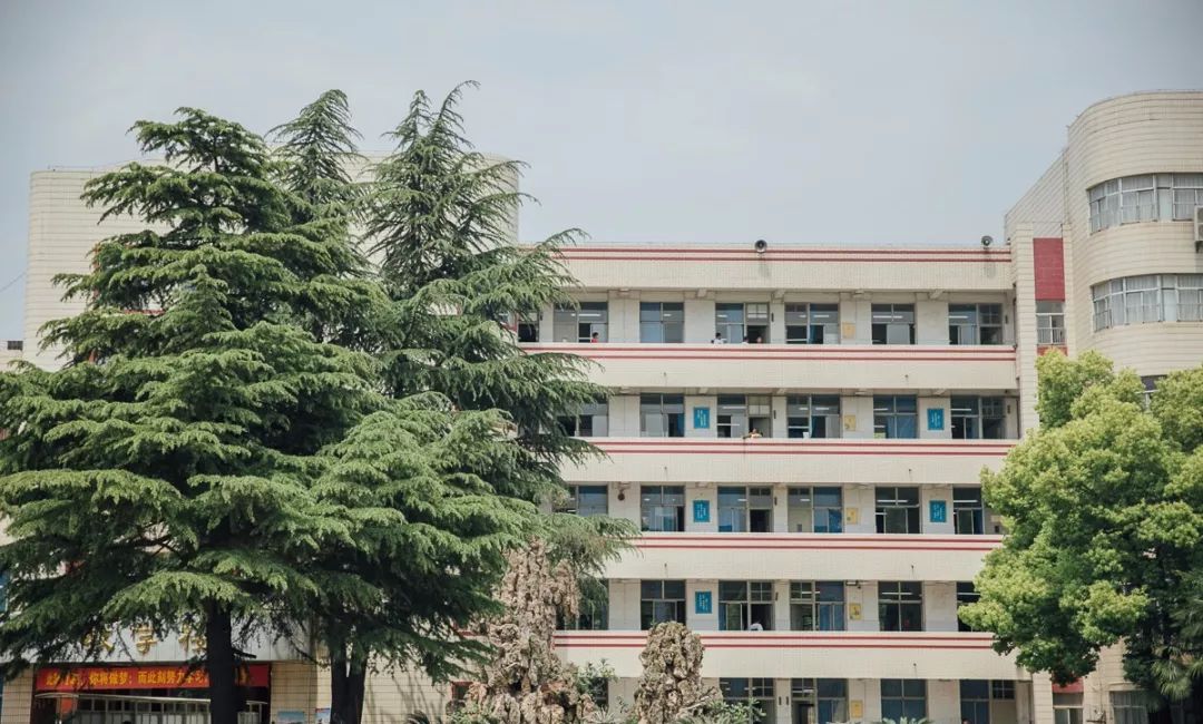 武汉市十大美丽中学,武汉十大美丽学校