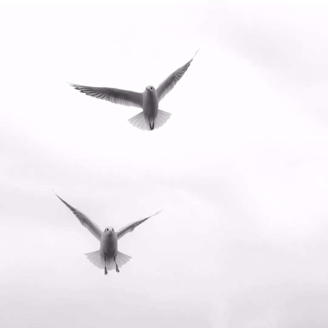 iphone拍照软件哪款最好,iphone怎么关闭拍照声音