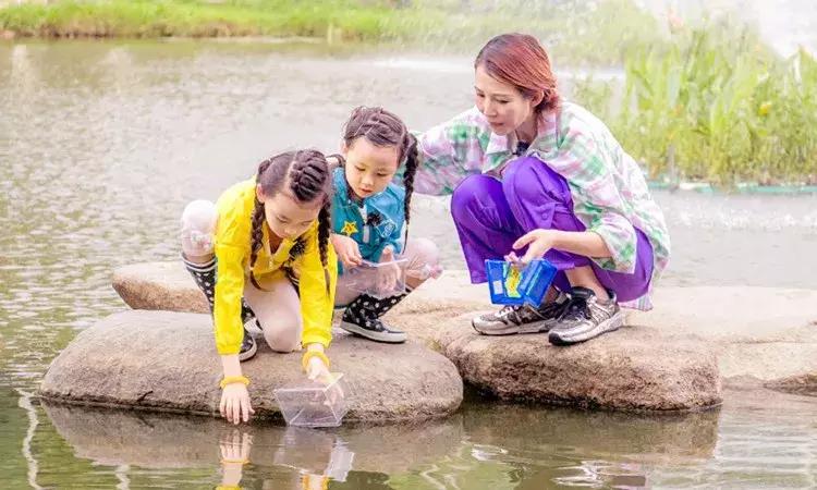 人贩子被拐事件,人贩子作案过程及被拐小孩的遭遇