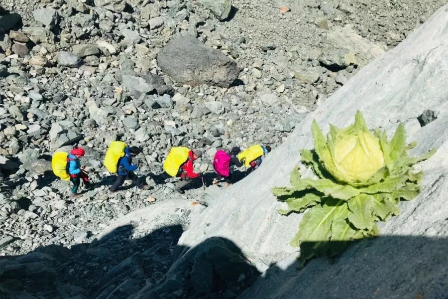 新疆最凶险峡谷路,新疆博格达峰徒步路线