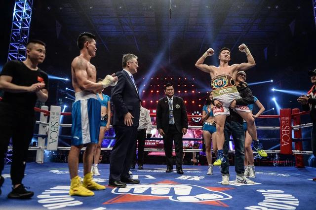 中国不败拳王杨永强,杨永强挑战世界拳王