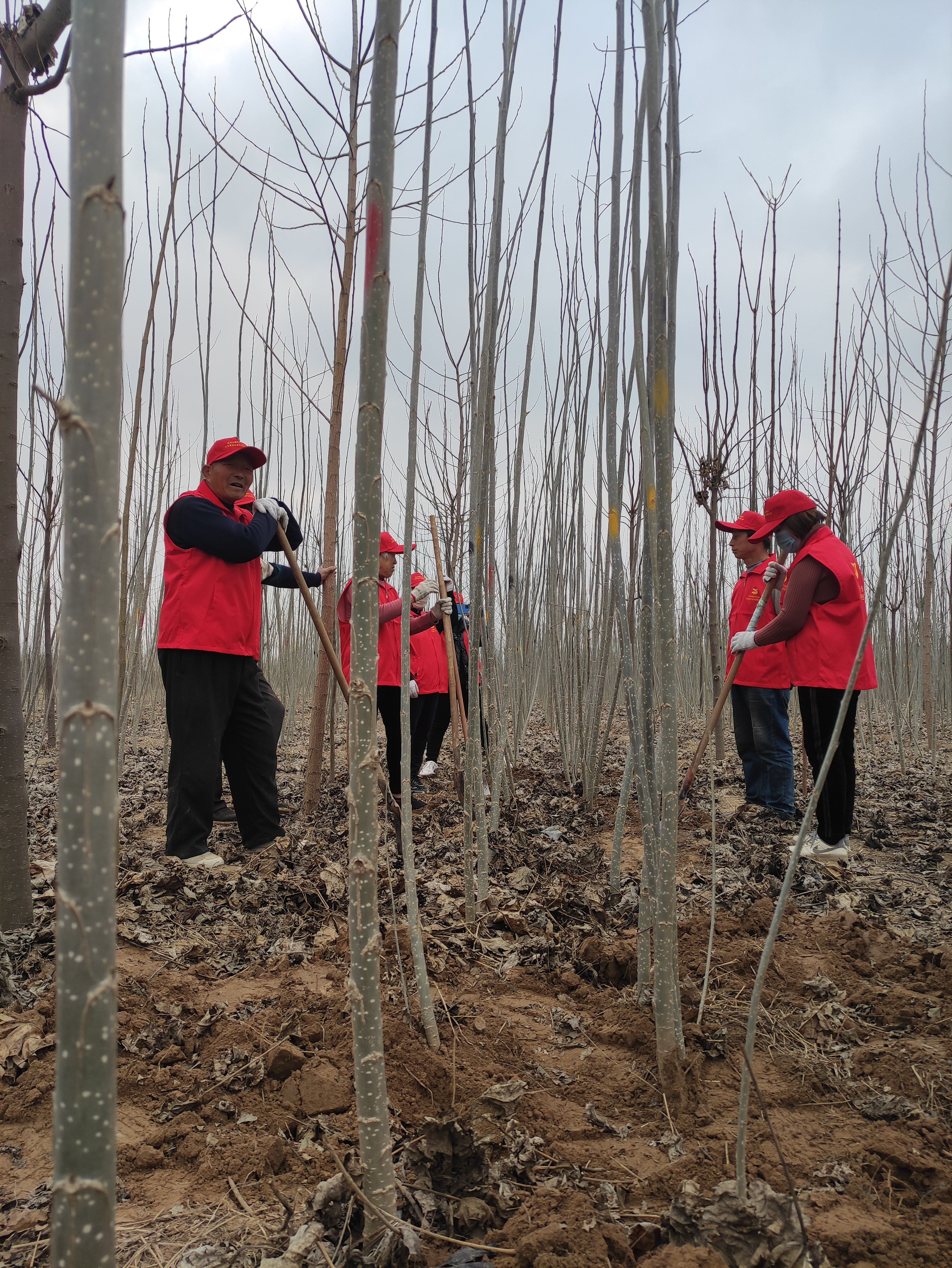 筑牢生态屏障,筑牢生态屏障守护美好家园