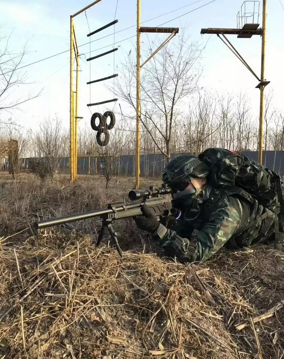 国产十大冷门狙击枪,国产高精狙cs-lr13