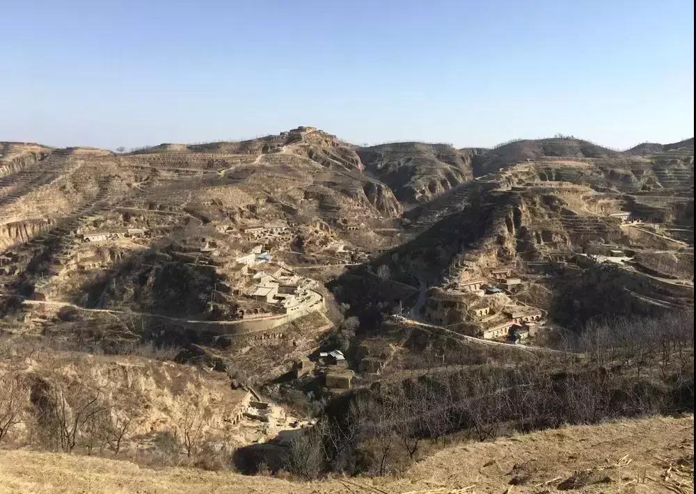 张维迎：村主任霍东征