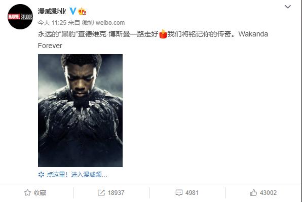 黑豹死亡并不是终结,黑豹死亡不是结束