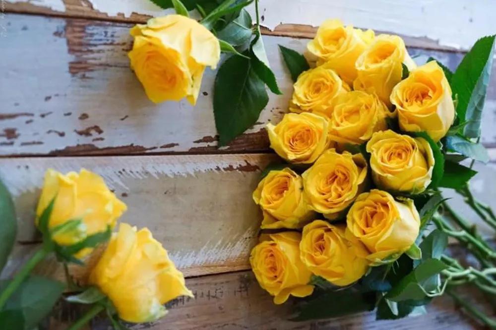 花店必备的5款玫瑰,花店最常用什么品种的玫瑰花