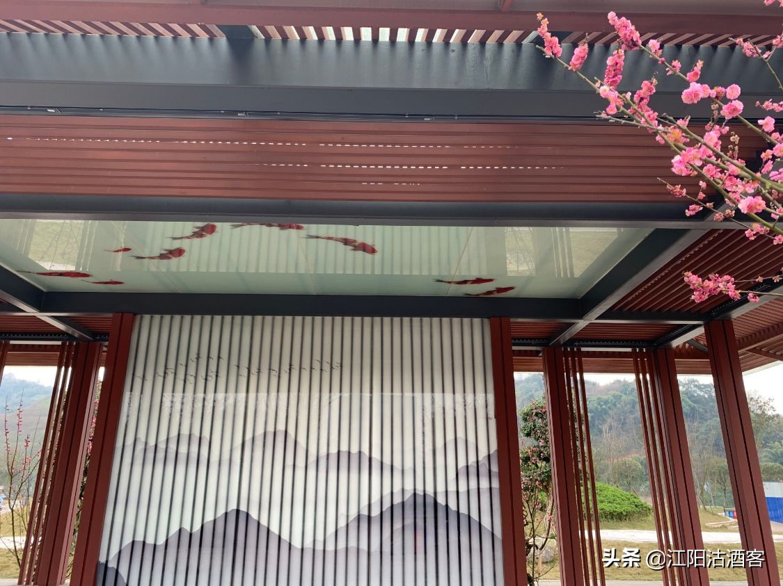 泸州最古老街区,泸州老城区