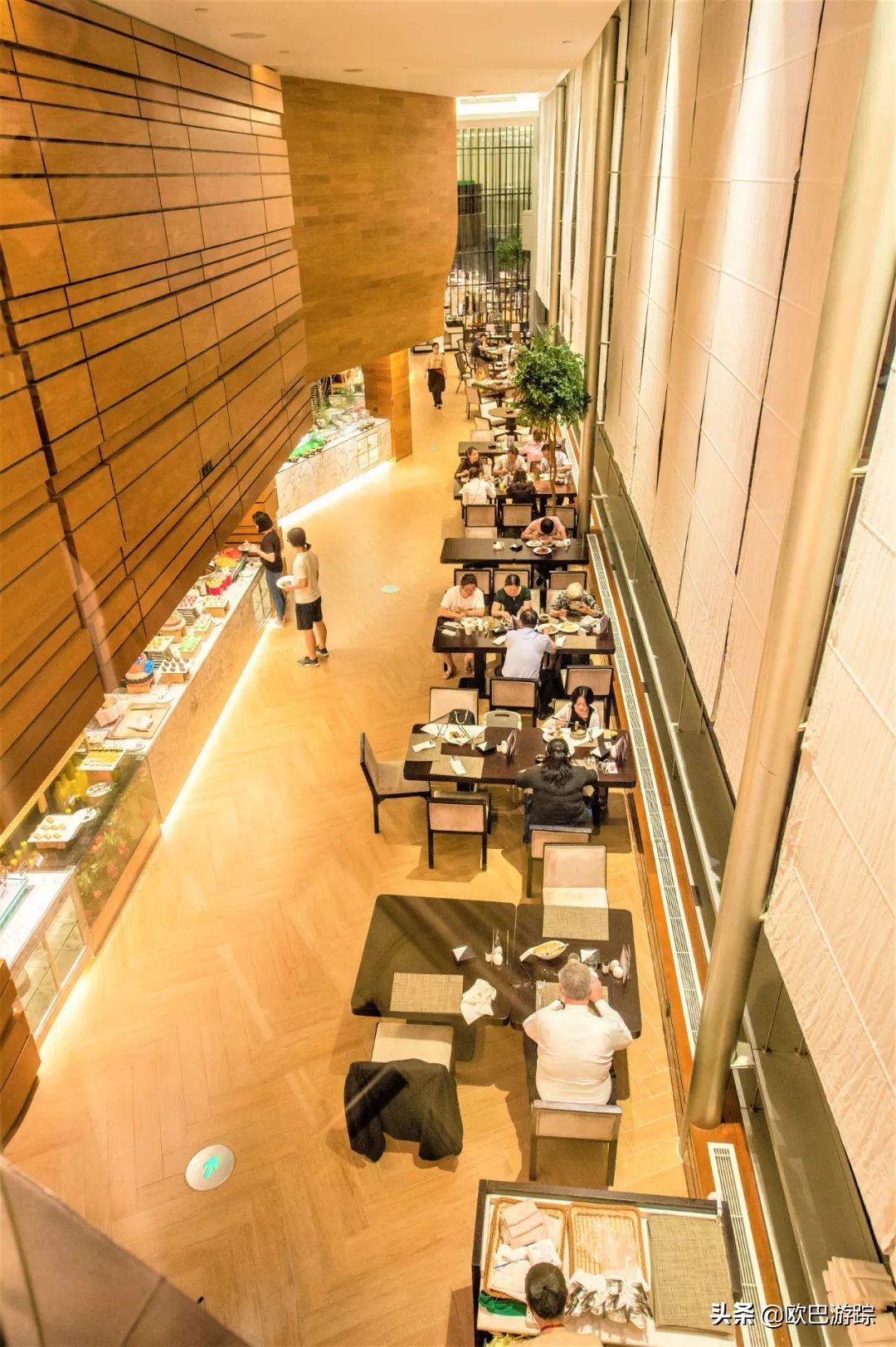 南京金陵城全景,南京金陵酒店新楼有多少米高