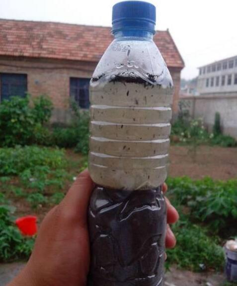 养花长虫子了,养花的水里有虫子怎么杀虫不伤花