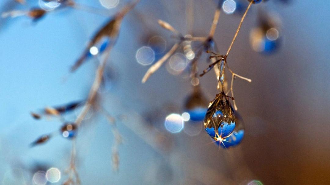 「诗词鉴赏」秋深寒露候，古诗词里的寒露，静看秋意渐浓