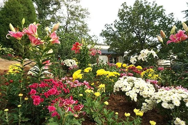 大连重阳节旅游攻略,大连九月秋游攻略