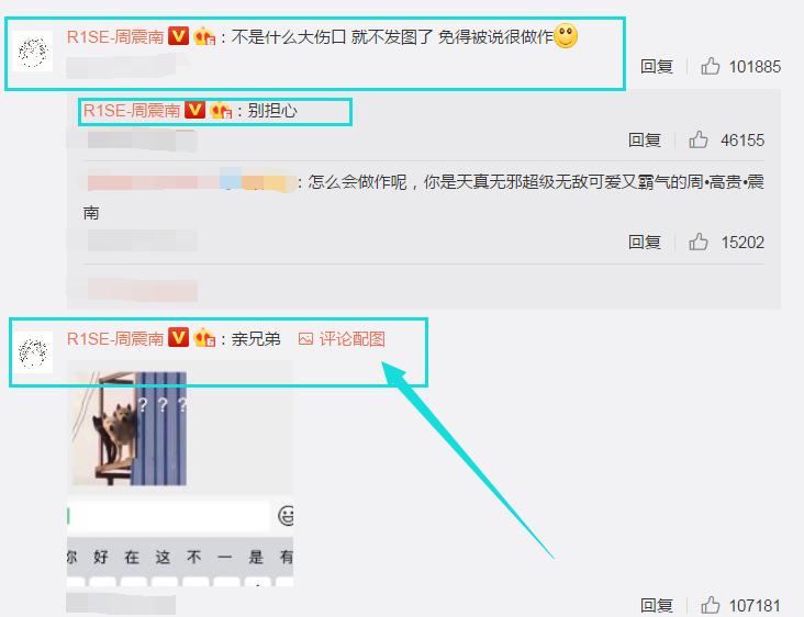 周震南被猫咬到了,周震南与何洛洛聊天记录