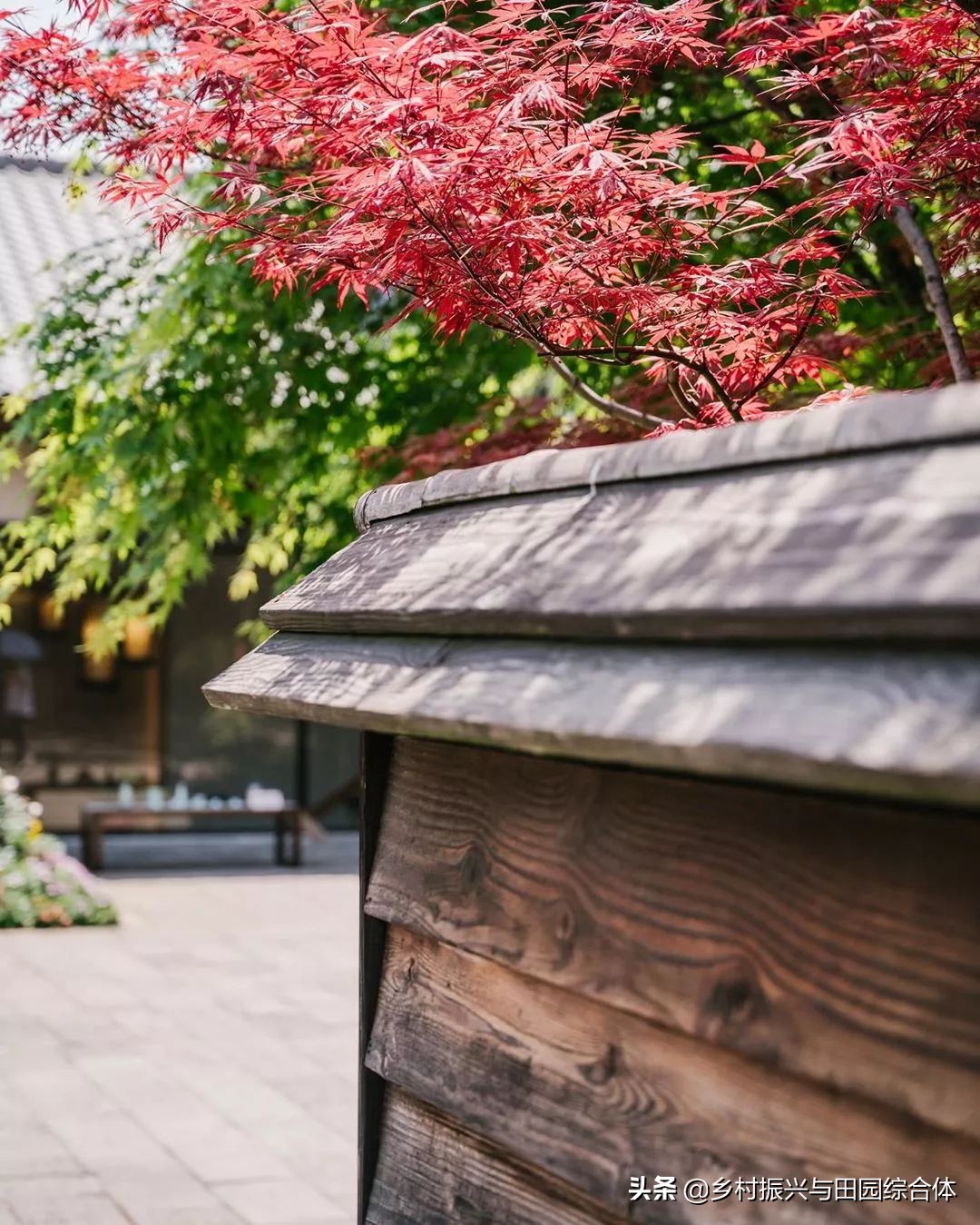 古朴悠然的禅意小镇,半农学院