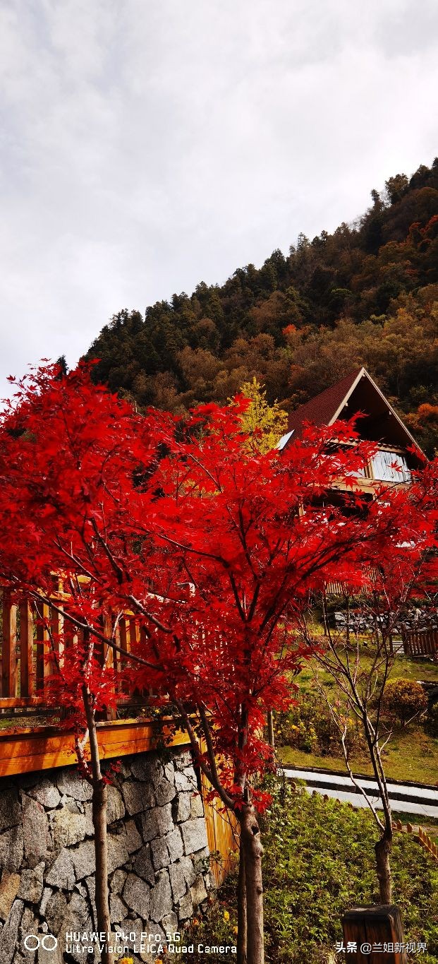 川西古尔沟～看到你之后只剩赞美！我好想去泡你