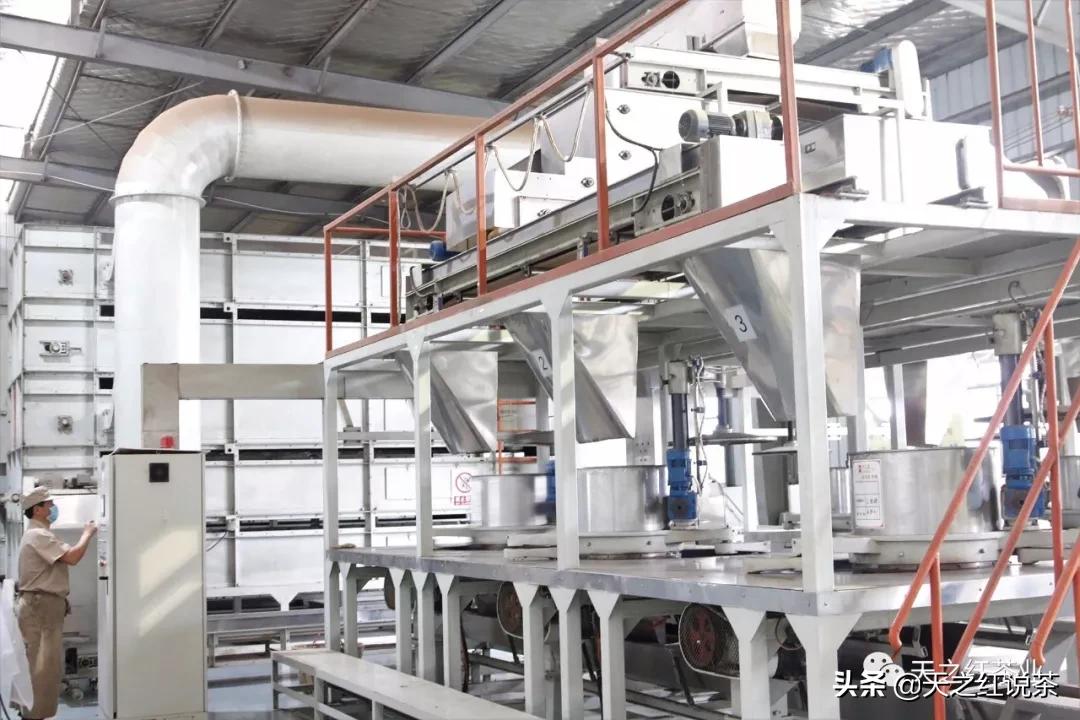 口粮茶哪个牌子好喝又便宜,什么茶耐泡好喝便宜