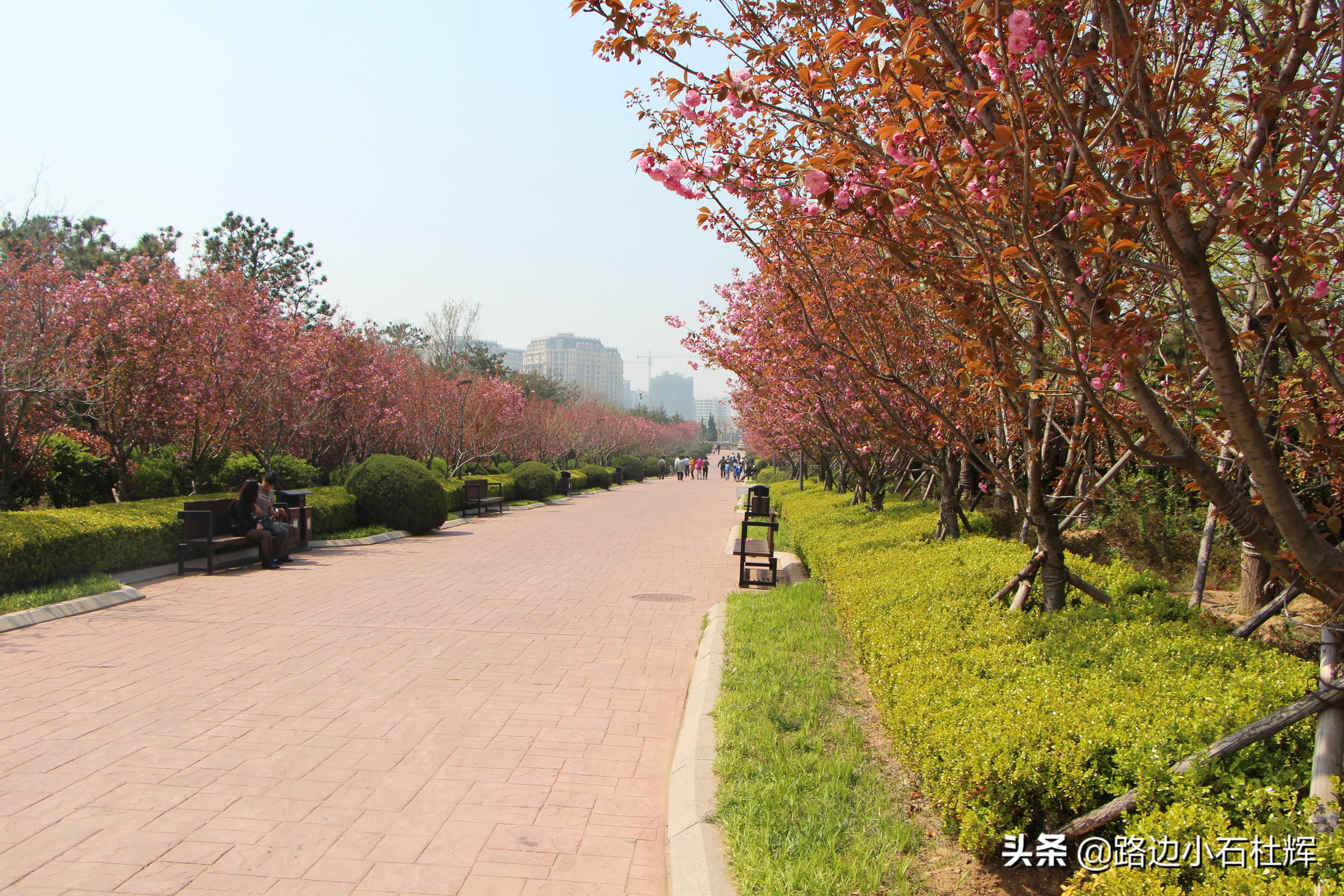 青岛黄岛记忆,青岛金沙滩景色图