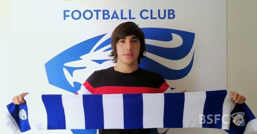 阿尔卑斯山的成长,阿尔卑斯山的求学之路