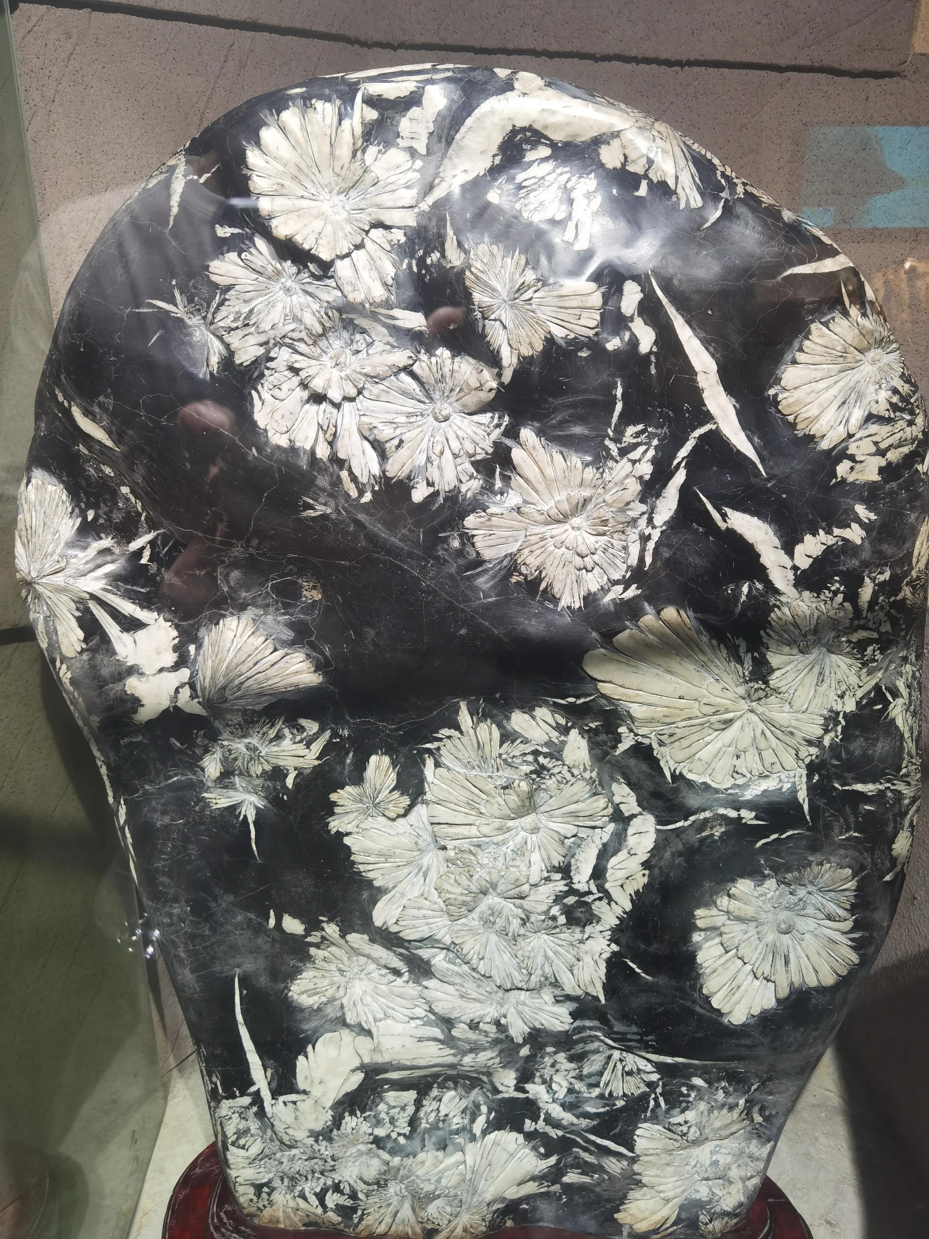 溧阳天目湖山水园有哪些玩的项目,溧阳天目湖山水园路线图怎么画