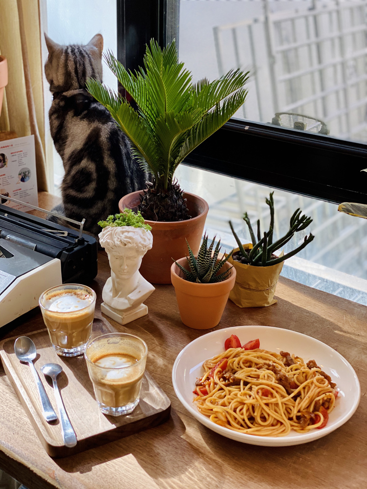 撸动物的网红店顺德,撸小动物的网红店北京世纪金源