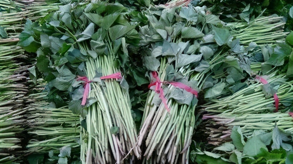 社旗粉条哪里做的好,河南南阳正宗社旗粉条