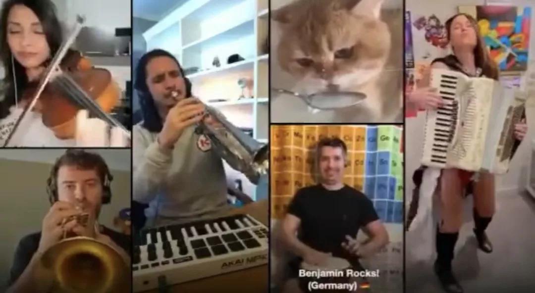 漂亮小奶猫喝奶,4只小奶猫吃豪华大餐