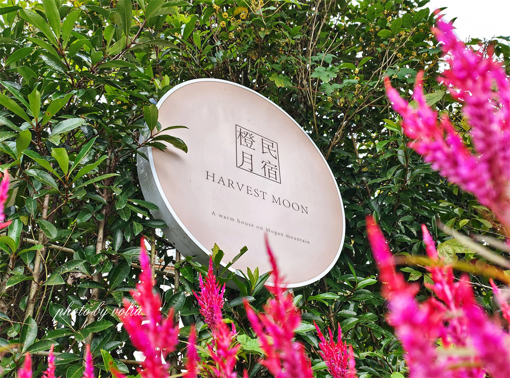 黑胶·旅人·酒|莫干山的月亮是橙色的