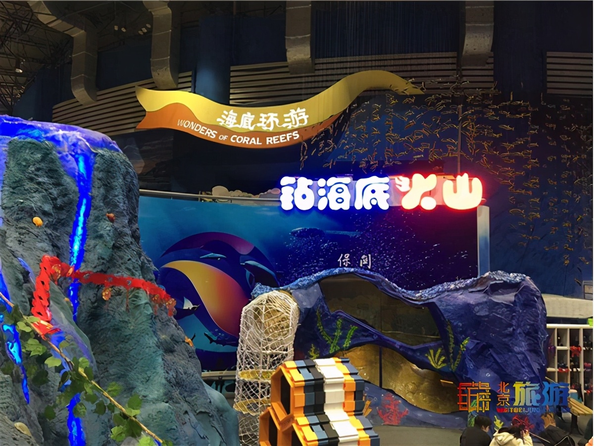 北京海洋馆超大锦鲤,北京海洋馆锦鲤