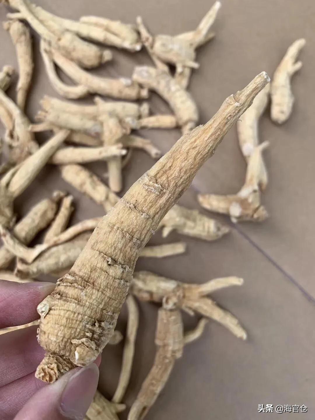 西洋参怎么泡水喝可以治咳嗽,冬季西洋参茶的正确喝法