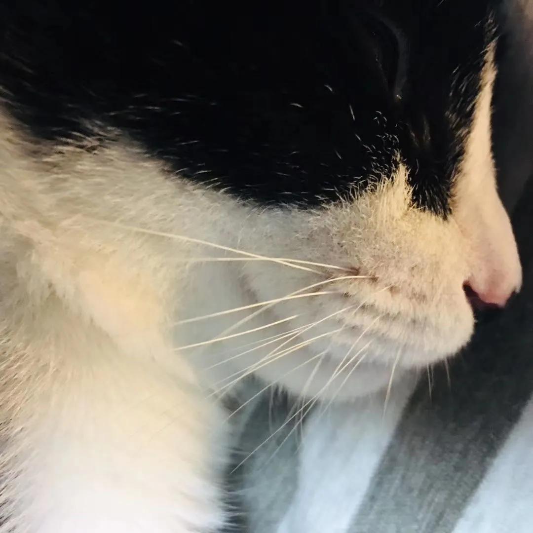 和卡卡的第一次合作,和卡卡相遇