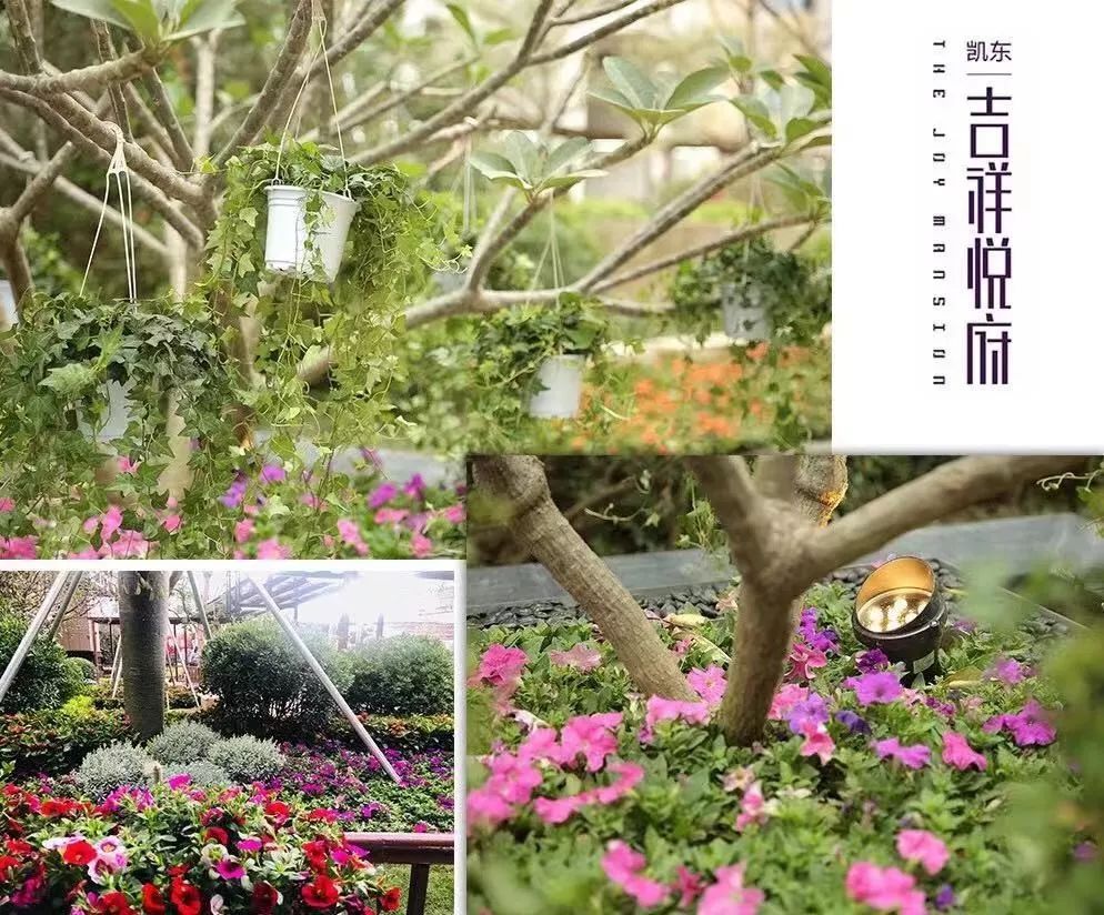 深圳全球房价排名,深圳经济竞争力全国排第几