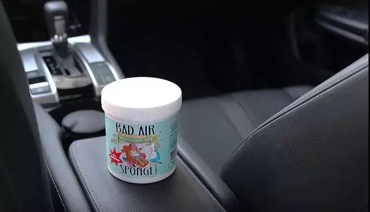 德国十大品牌的空气净化器,大自然的空气净化器