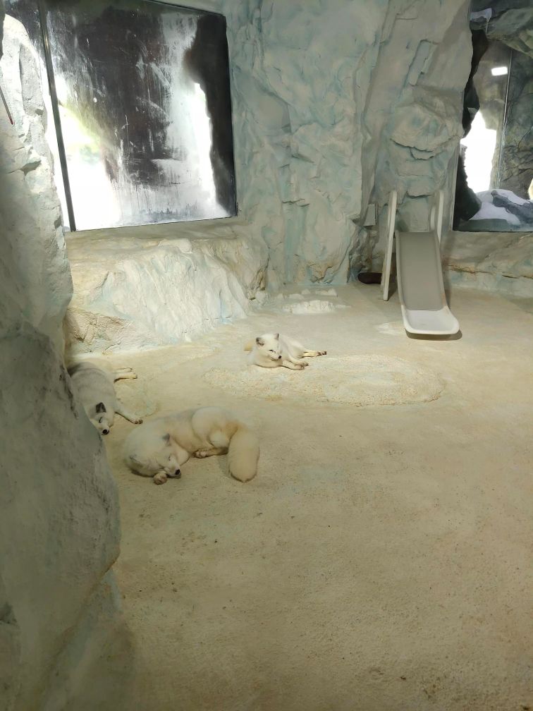 珠海长隆海洋王国二日游攻略,珠海长隆海洋王国一日游详细攻略