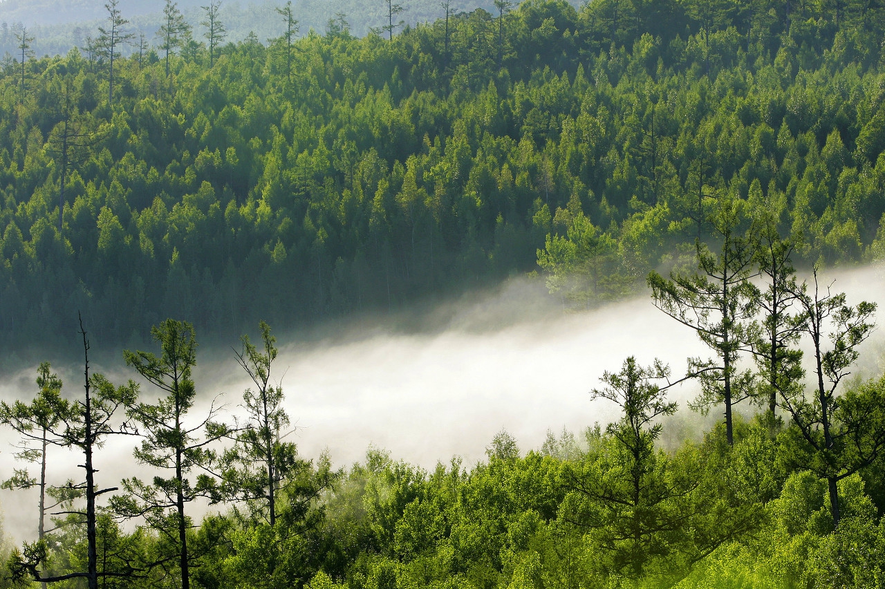 假期外出游玩孩子遭蜱虫咬伤,蜱虫高发季带娃出游前必看