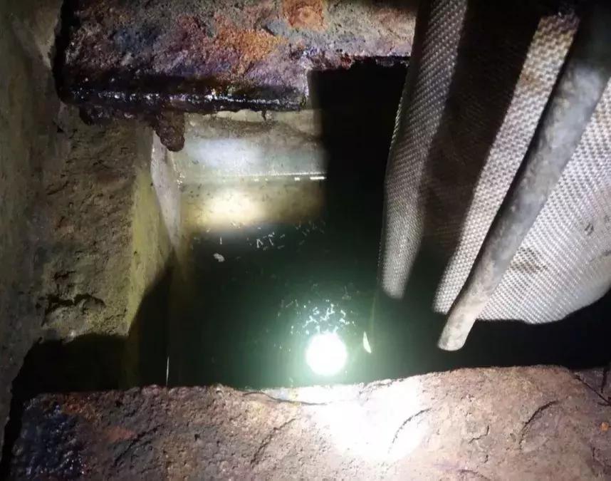 温州蚊子怎么这么多,蚊子警报