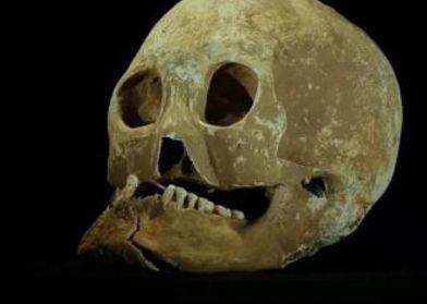 秦始皇帝陵陪葬墓新发现,秦始皇帝陵新发现将军俑