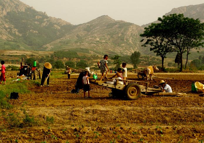 过了夏至节谚语,过夏至的俗语有多重要