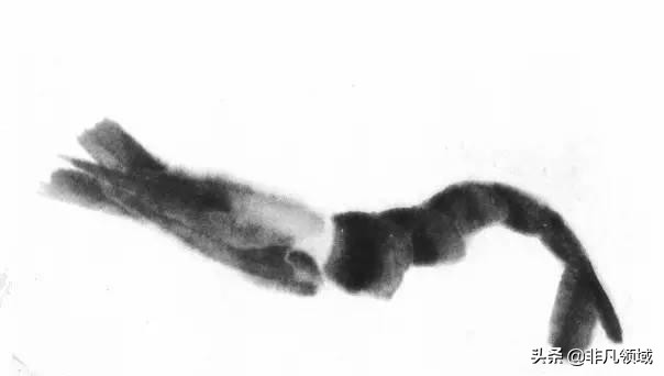 齐白石画虾时的动作语言神态,中国近代四大画家齐白石画虾