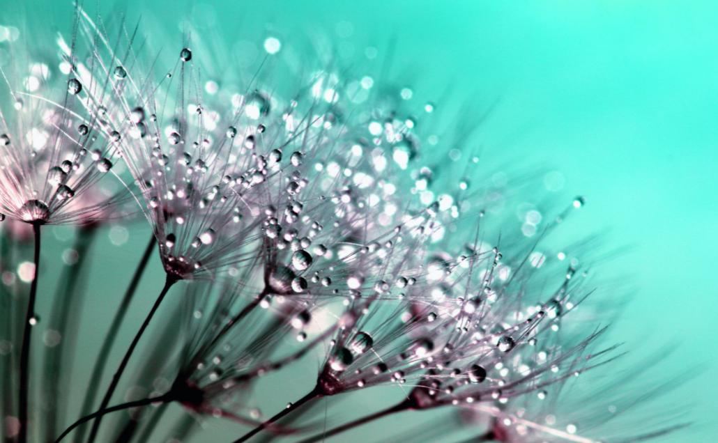 难相处的婆婆调解,有个高情商的婆婆如何相处