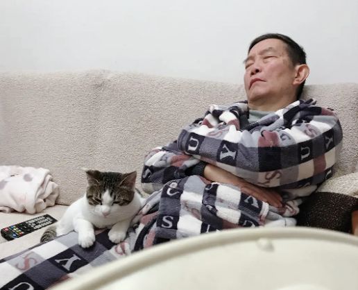 养猫后儿子鼻过敏,妈妈心生一计:不如你搬出去住吧!