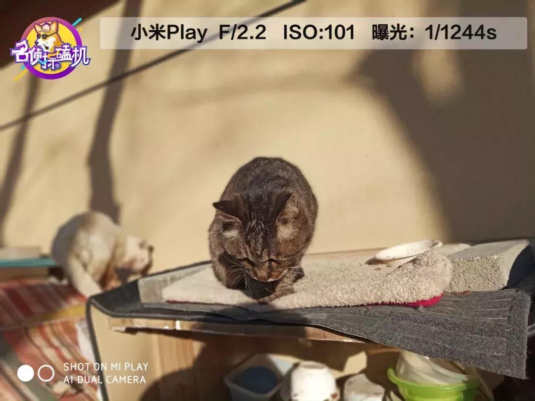 小米play送的流量,小米play流量