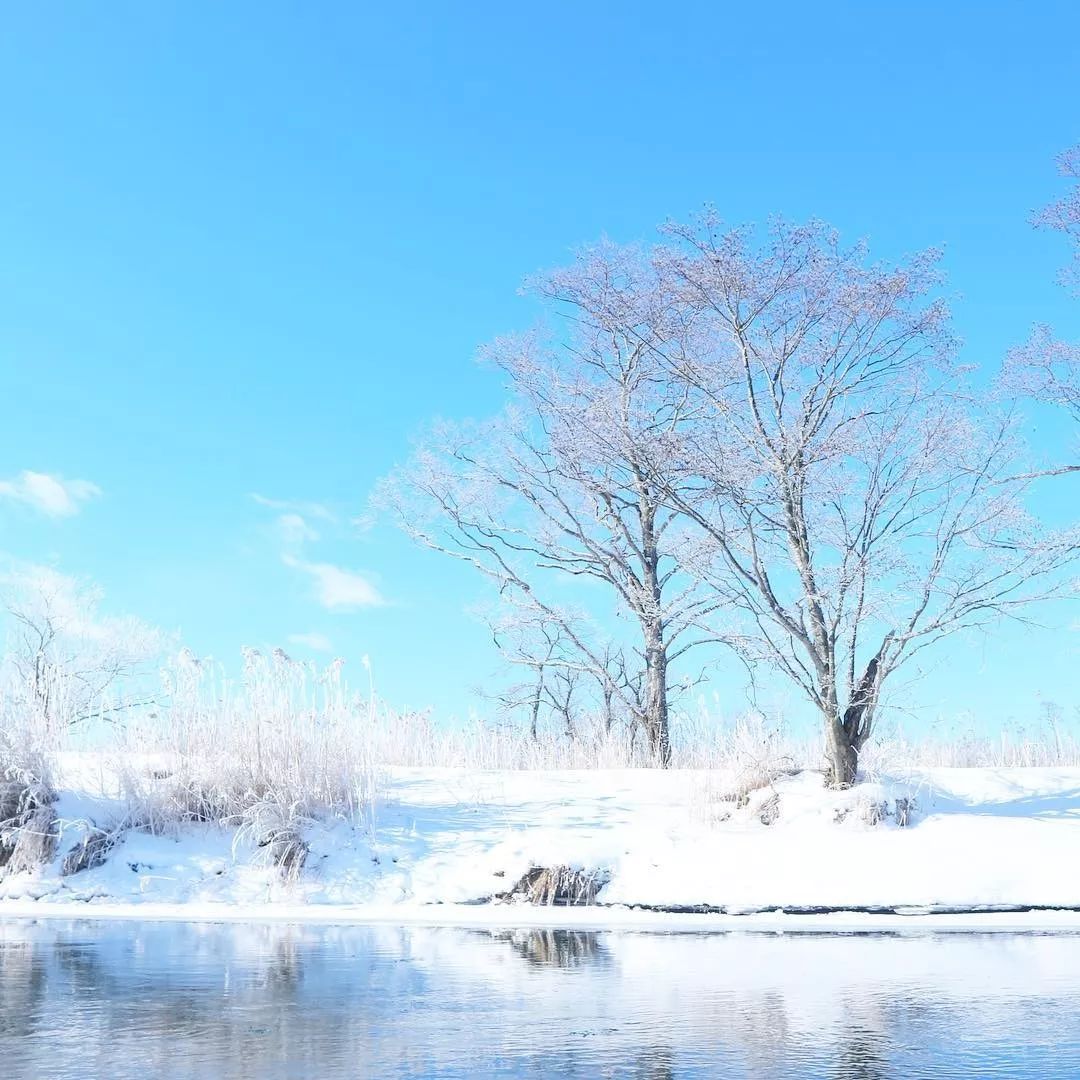 养老手游2020,月兔手游攻略